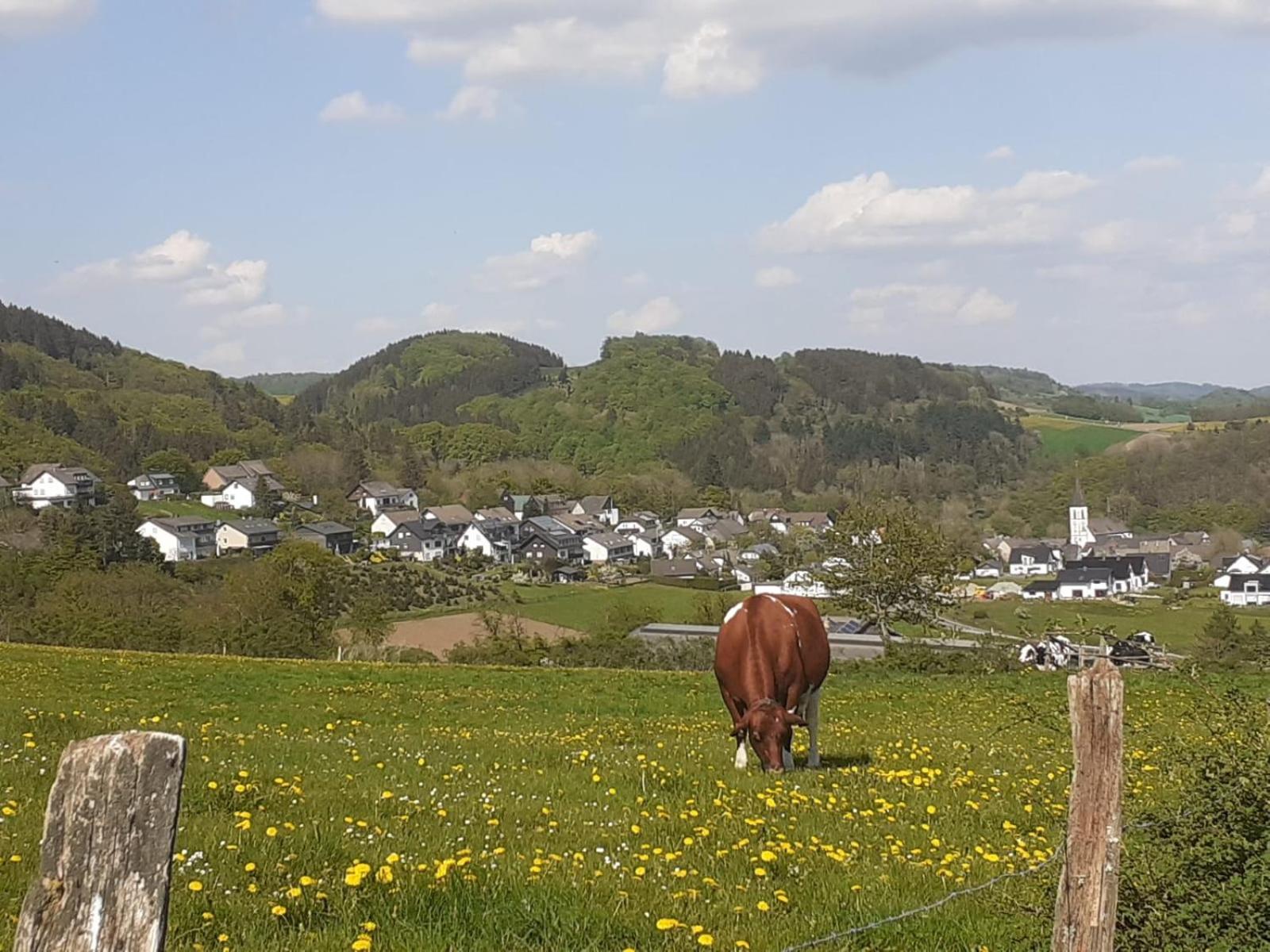 Ferienwohnungen Sternenhimmel Whg 1 메데바흐 외부 사진